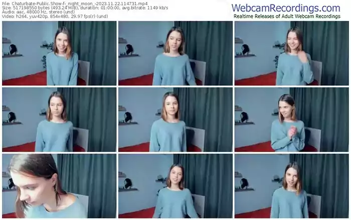 2023/11/22/chaturbate-_night_moon_-11-47-31