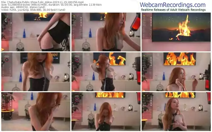 2023/11/23/chaturbate-oki_dokie-18-02-56