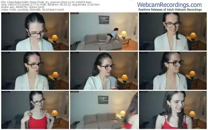 2023/12/01/chaturbate-look_my_passion-23-44-53