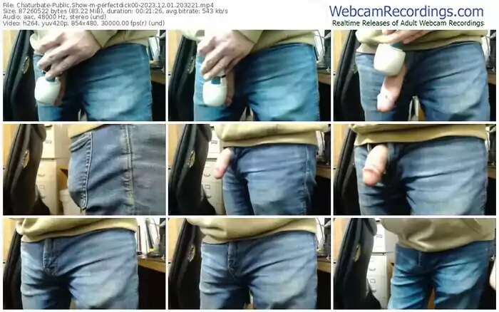 2023/12/01/chaturbate-perfectdick00-20-32-21