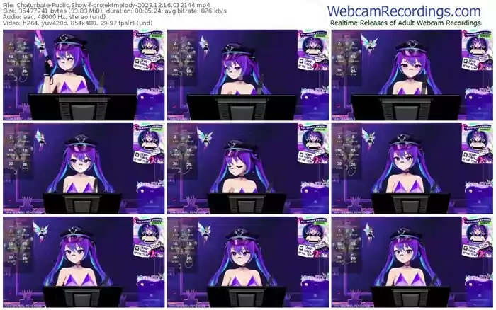 2023/12/16/chaturbate-projektmelody-01-21-44