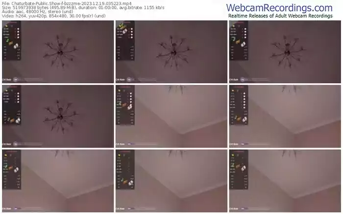 2023/12/19/chaturbate-bzzzme-03-52-23