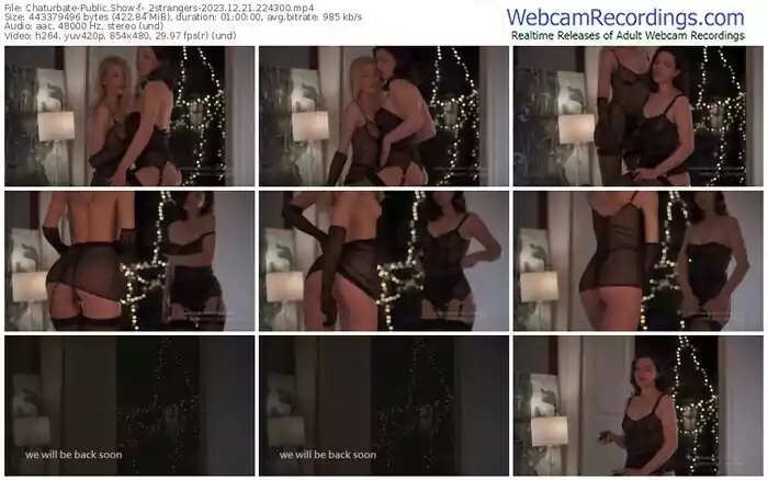 2023/12/21/chaturbate-_2strangers-22-43-00