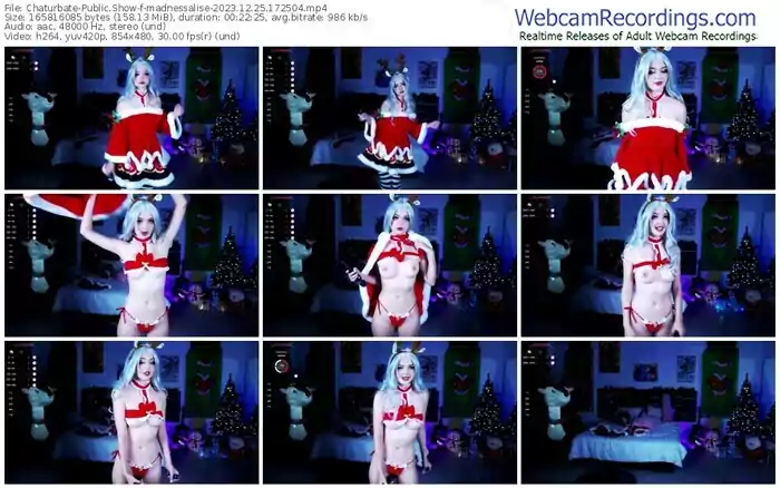 2023/12/25/chaturbate-madnessalise-17-25-04