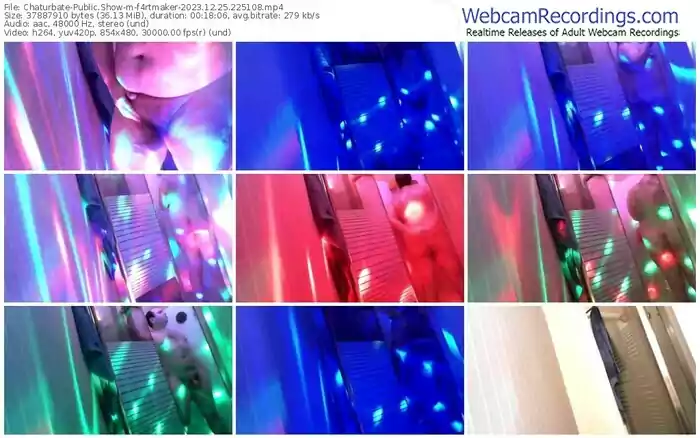 2023/12/25/chaturbate-f4rtmaker-22-51-08