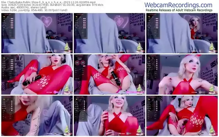 2023/12/26/chaturbate-_b_a_n_s_h_e_e_-02-06-59