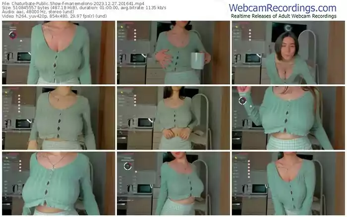 2023/12/27/chaturbate-mariemelons-20-16-41