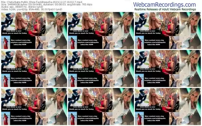 2023/12/27/chaturbate-wildtequilla-01-01-17