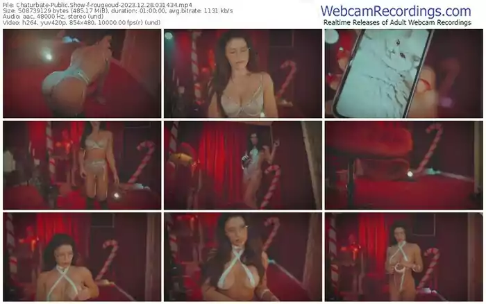 2023/12/28/chaturbate-rougeoud-03-14-34