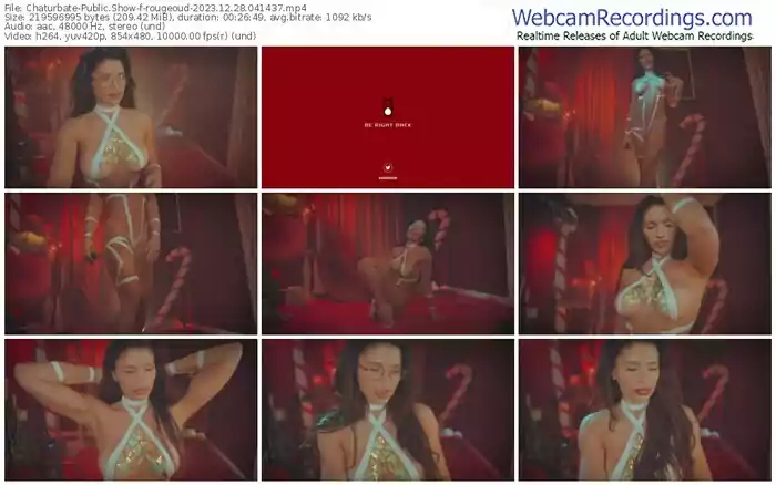 2023/12/28/chaturbate-rougeoud-04-14-37