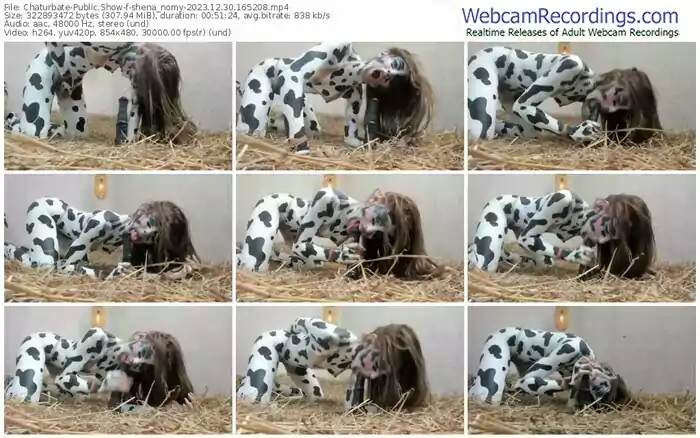 2023/12/30/chaturbate-shena_nomy-16-52-08