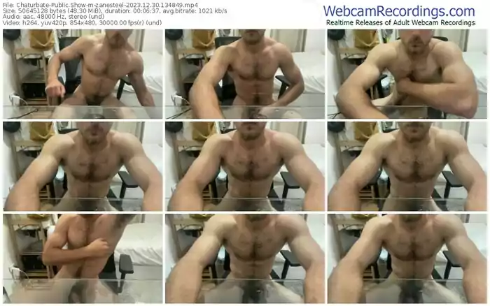 2023/12/30/chaturbate-zanesteel-13-48-49