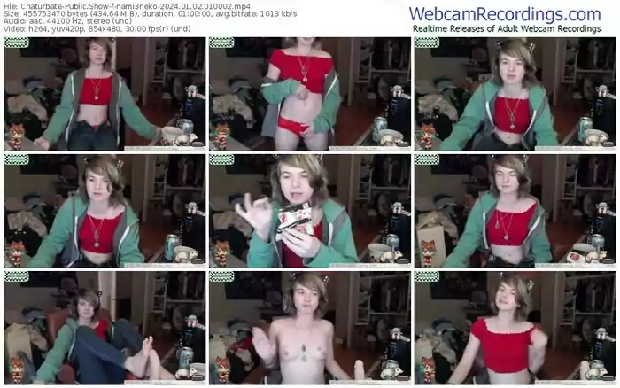 2024/01/02/chaturbate-nami3neko-01-00-02