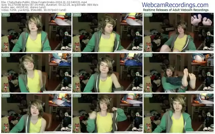 2024/01/02/chaturbate-nami3neko-04-00-21