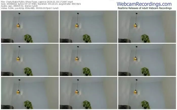 2024/01/03/chaturbate-joss_caprice-17-26-47
