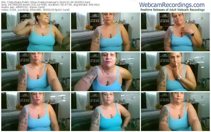 2024/01/04/chaturbate-ladycreamypr1-20-20-02