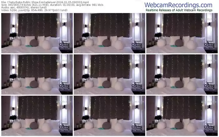 2024/01/05/chaturbate-miladenver-09-03-33