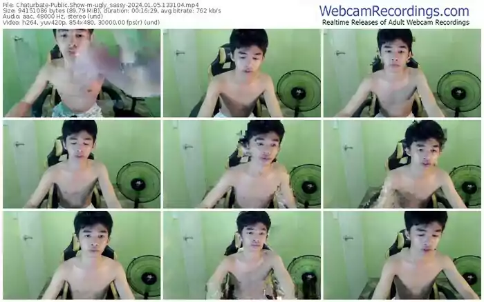 2024/01/05/chaturbate-ugly_sassy-13-31-04