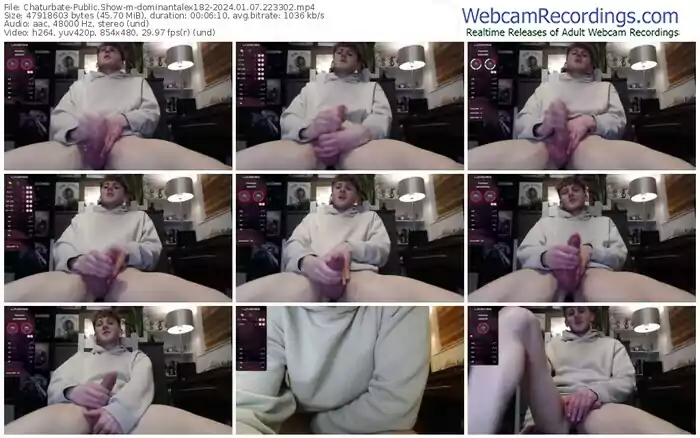 2024/01/07/chaturbate-dominantalex182-22-33-02