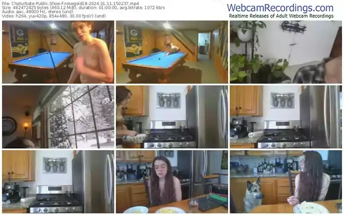 2024/01/11/chaturbate-rosegold18-15-02-37