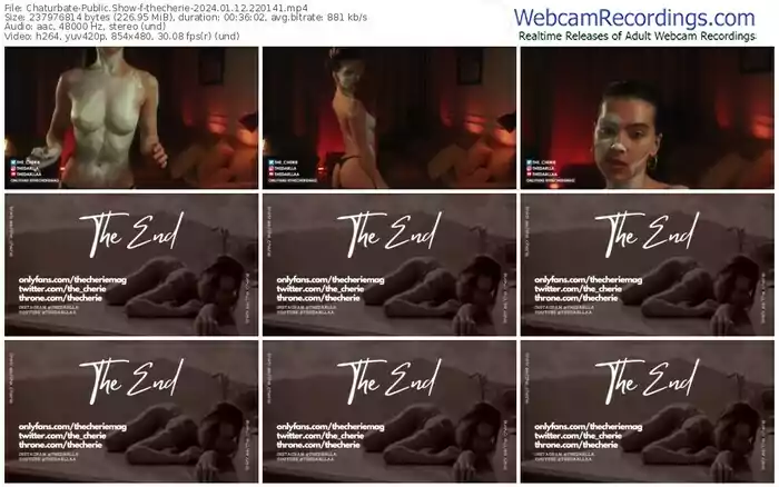 2024/01/12/chaturbate-thecherie-22-01-41