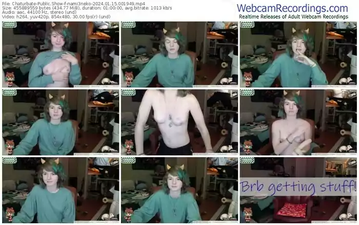 2024/01/15/chaturbate-nami3neko-00-19-49