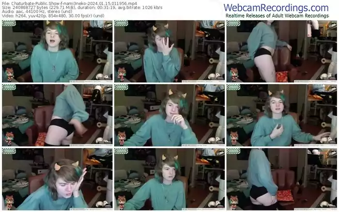 2024/01/15/chaturbate-nami3neko-01-19-56