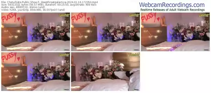 2024/01/16/chaturbate-_deepthroatgalactica-17-23-50