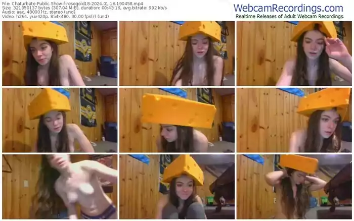 2024/01/16/chaturbate-rosegold18-19-04-58