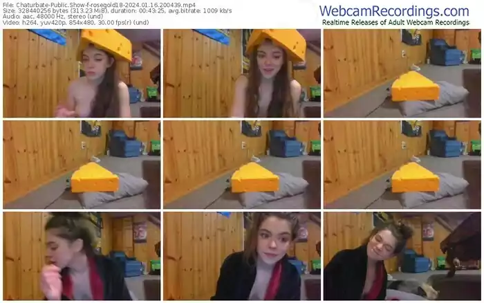 2024/01/16/chaturbate-rosegold18-20-04-39