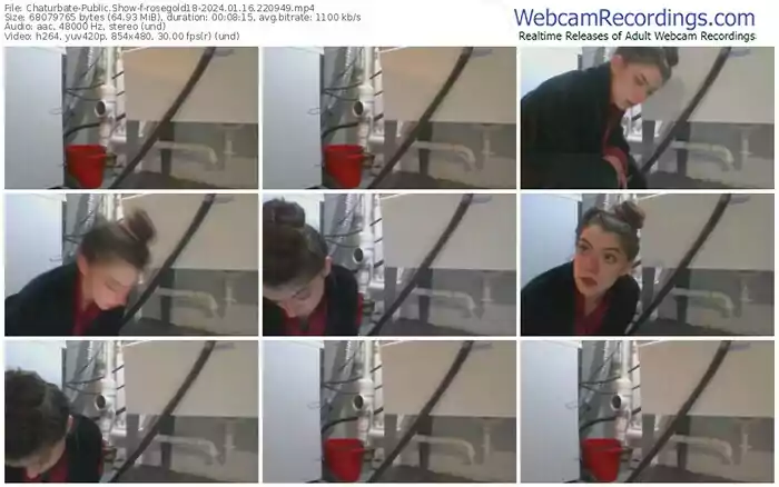 2024/01/16/chaturbate-rosegold18-22-09-49