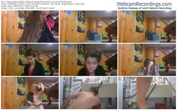 2024/01/16/chaturbate-rosegold18-23-30-58