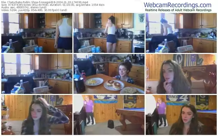 2024/01/20/chaturbate-rosegold18-17-40-30