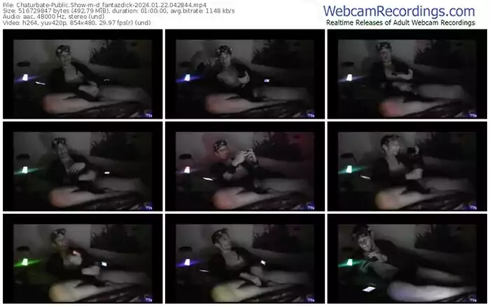 2024/01/22/chaturbate-d_fantazdick-04-28-44
