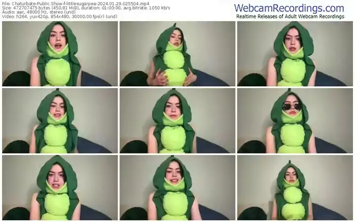 2024/01/29/chaturbate-littlesugarpea-02-55-04