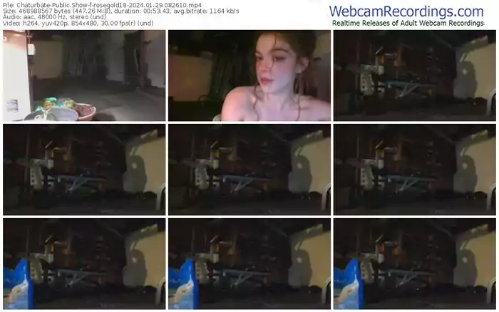 2024/01/29/chaturbate-rosegold18-08-26-10