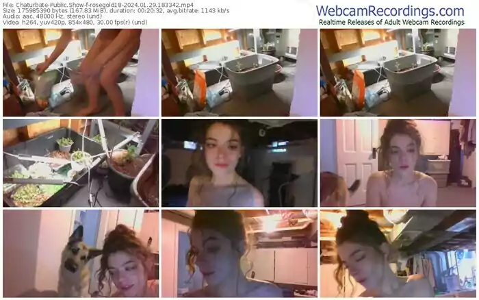 2024/01/29/chaturbate-rosegold18-18-33-42