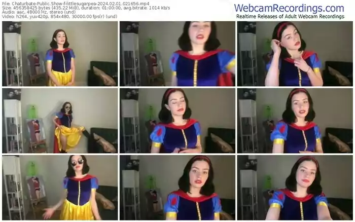 2024/02/01/chaturbate-littlesugarpea-02-16-56