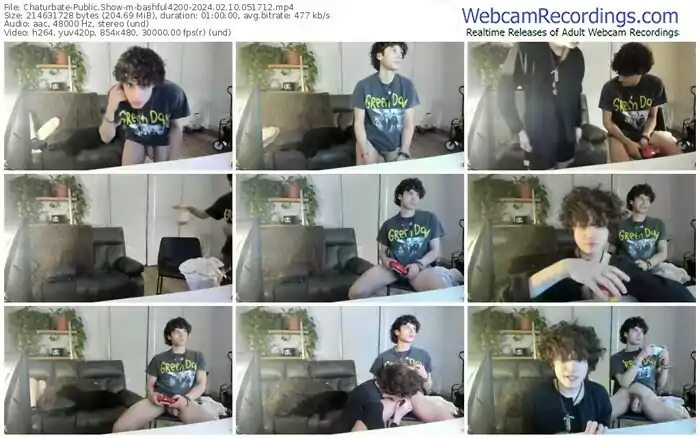 2024/02/10/chaturbate-bashful4200-05-17-12