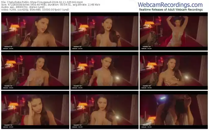 2024/02/11/chaturbate-rougeoud-02-53-42