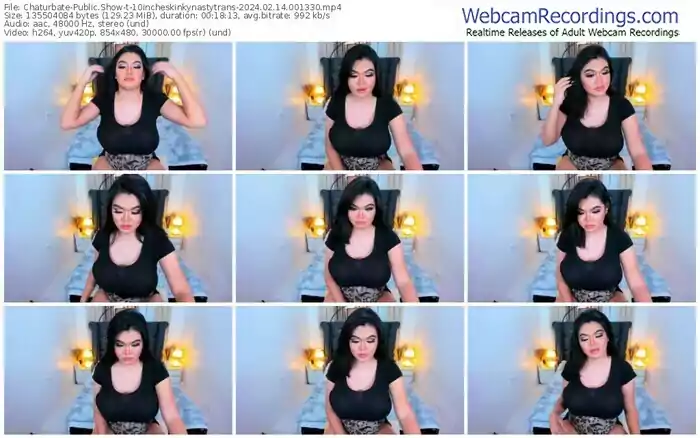 2024/02/14/chaturbate-10incheskinkynastytrans-00-13-30