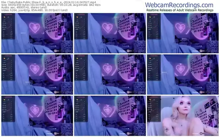2024/02/16/chaturbate-_b_a_n_s_h_e_e_-04-35-27