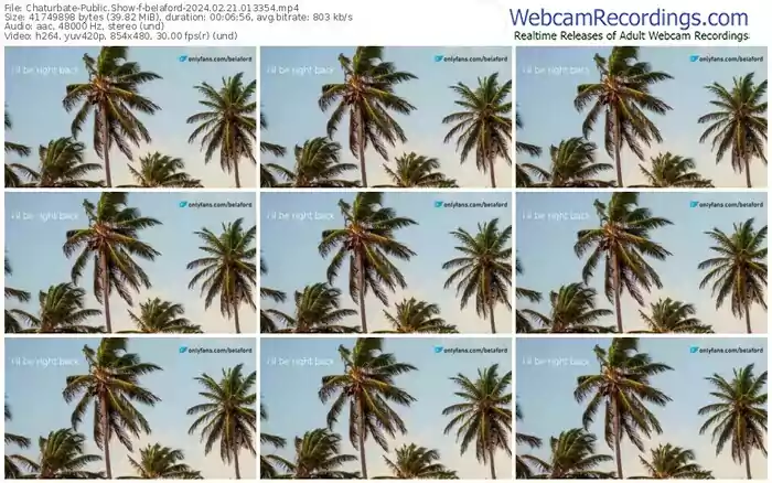 2024/02/21/chaturbate-belaford-01-33-54