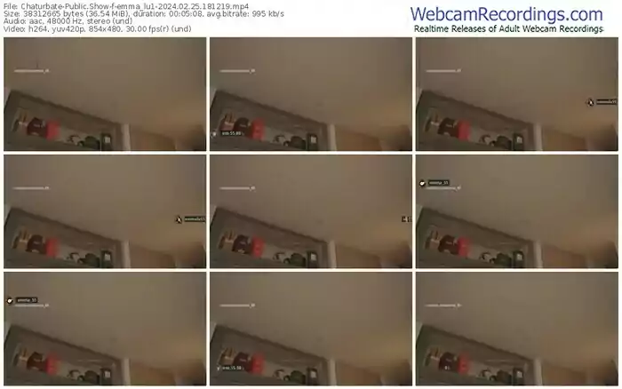 2024/02/25/chaturbate-emma_lu1-18-12-19