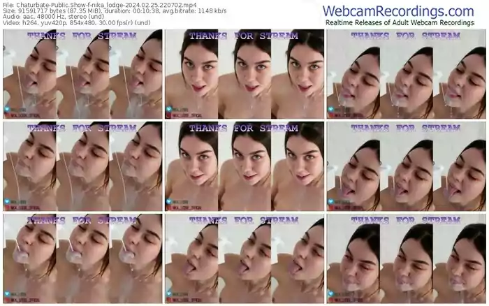 2024/02/25/chaturbate-nika_lodge-22-07-02