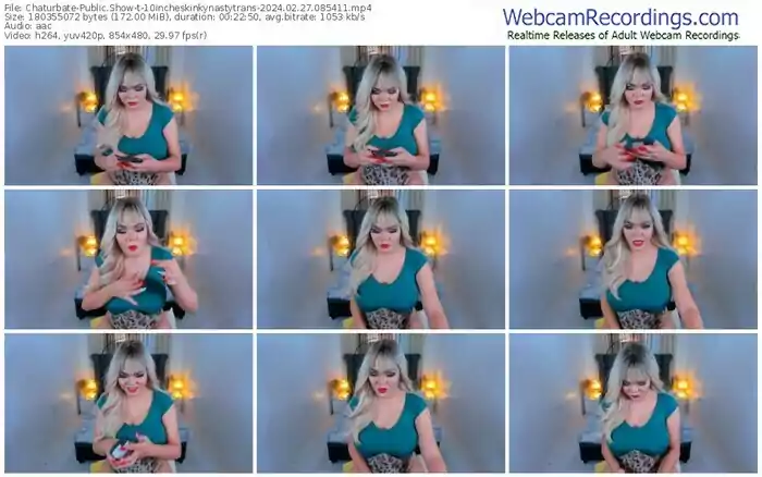 2024/02/27/chaturbate-10incheskinkynastytrans-08-54-11
