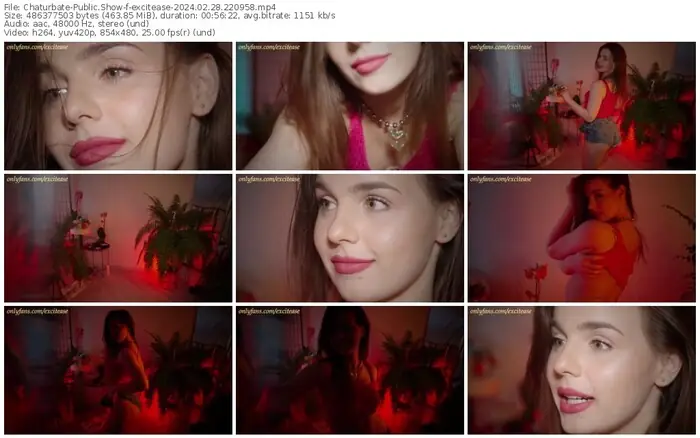 2024/02/28/chaturbate-excitease-22-09-58