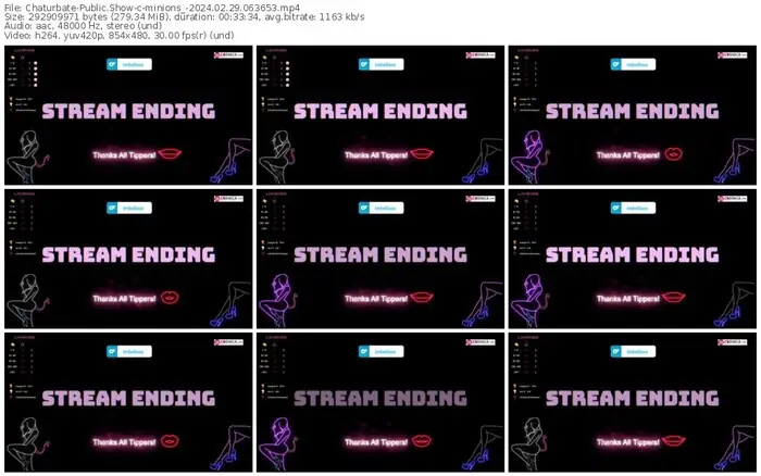 2024/02/29/chaturbate-minions_-06-36-53