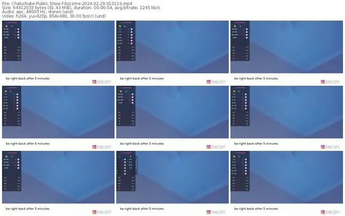 2024/02/29/chaturbate-bzzzme-01-01-19