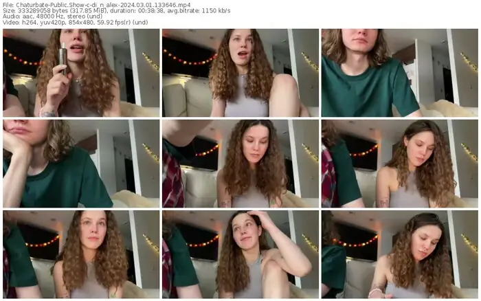 2024/03/01/chaturbate-di_n_alex-13-36-46